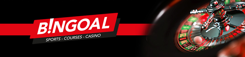 Bingoal Casino Banner